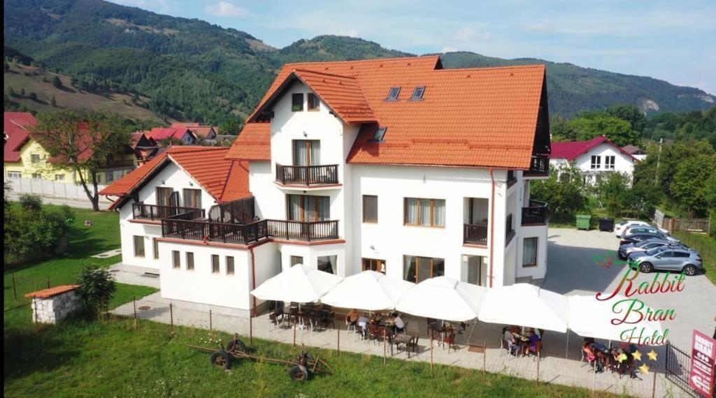 Hotel Rabbit Bran Моєчу-де-Жос Екстер'єр фото