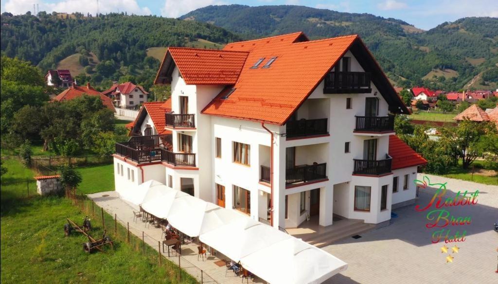 Hotel Rabbit Bran Моєчу-де-Жос Екстер'єр фото